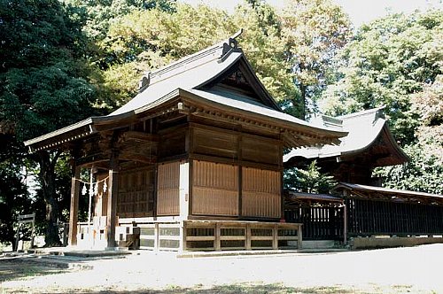 ������ң�����