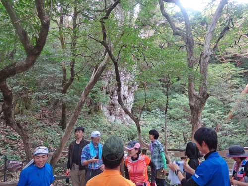 0宮之浦15縄文杉500