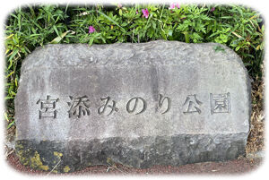 みのりタイトル300
