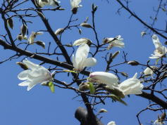 ���֤���