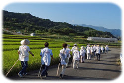 �⤭��ϩ������