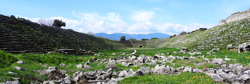 0�����죸����