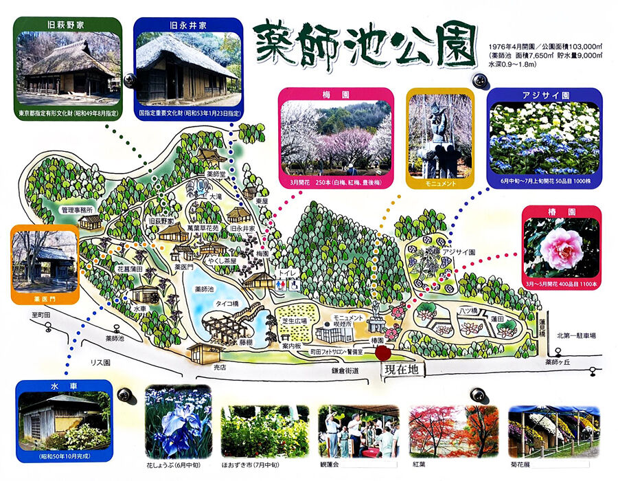0薬師池公園900