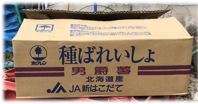 �露�㤬����400