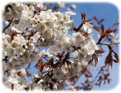 0�������å�