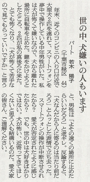 ������ī��240109