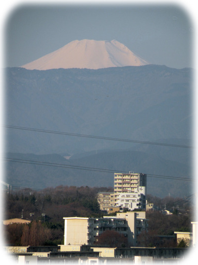 230401