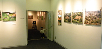 �̿�����Ÿ��