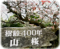 ������ǯ������