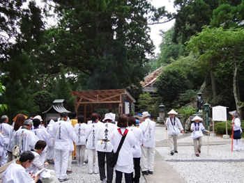 �����֡���ζ������Ʋ�ȺƷ������Ʋ350