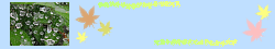 ÇòϪ