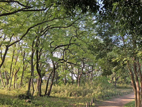 0Ф¿褳ޤƻ300413 600