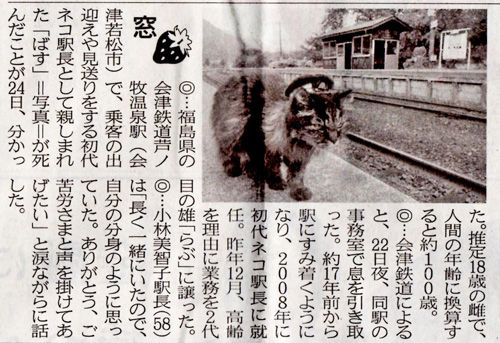 猫500