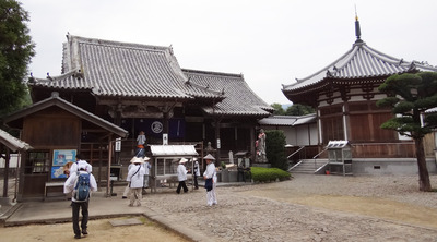 ������¢��