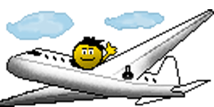 ���Ե�300