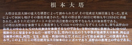 �����������450