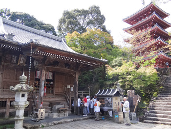 �����֡����ӻ�