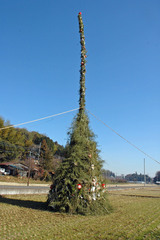 ��Τ����ο�