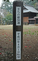 �ĤФ�����