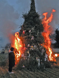 ǳ���夬��250