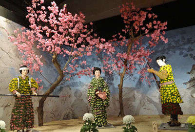 0菊4400