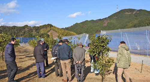 0������_500