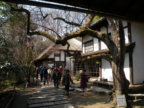 ���臘��š