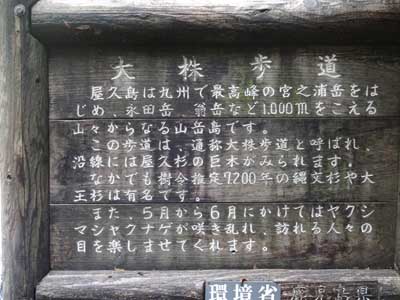 0宮之浦7大株歩道解説400
