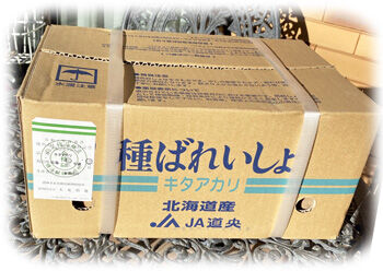 ��Ф줤����350