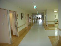 ����ϭ��250