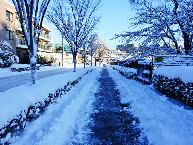 0除雪された通学路650