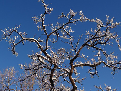 �Ϥ줿����������ݳ�����