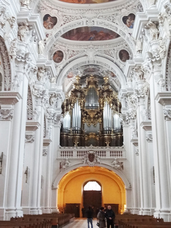 �ѥ��ץ��륬��