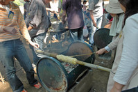 ú�ФǤ��ä���ȾƤ�