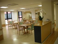 �����ۡ���250