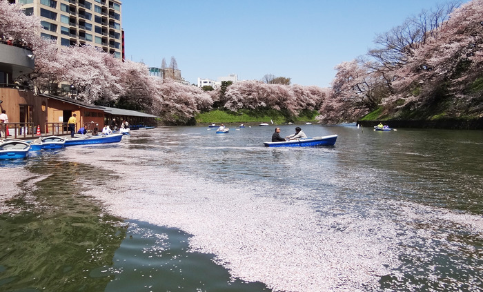 �֤Ӥ�ȥܡ���