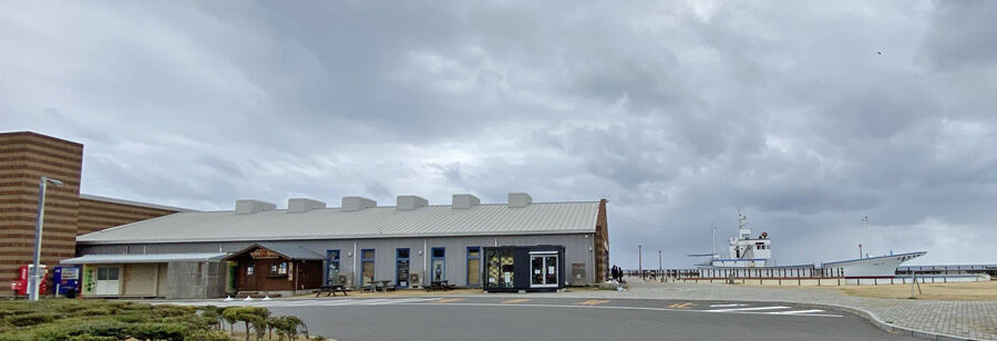 麻生区 はるひ野 若葉台 黒川の生活事典 花を求めて千葉 千倉へ