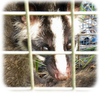 �ϥ��ӥ������