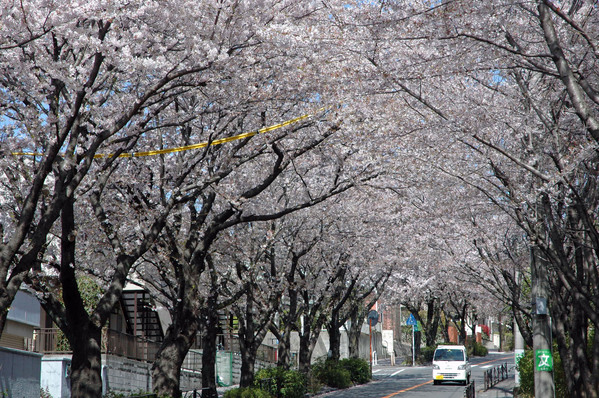 ����Ļ�����