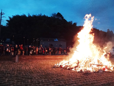 ǳ������