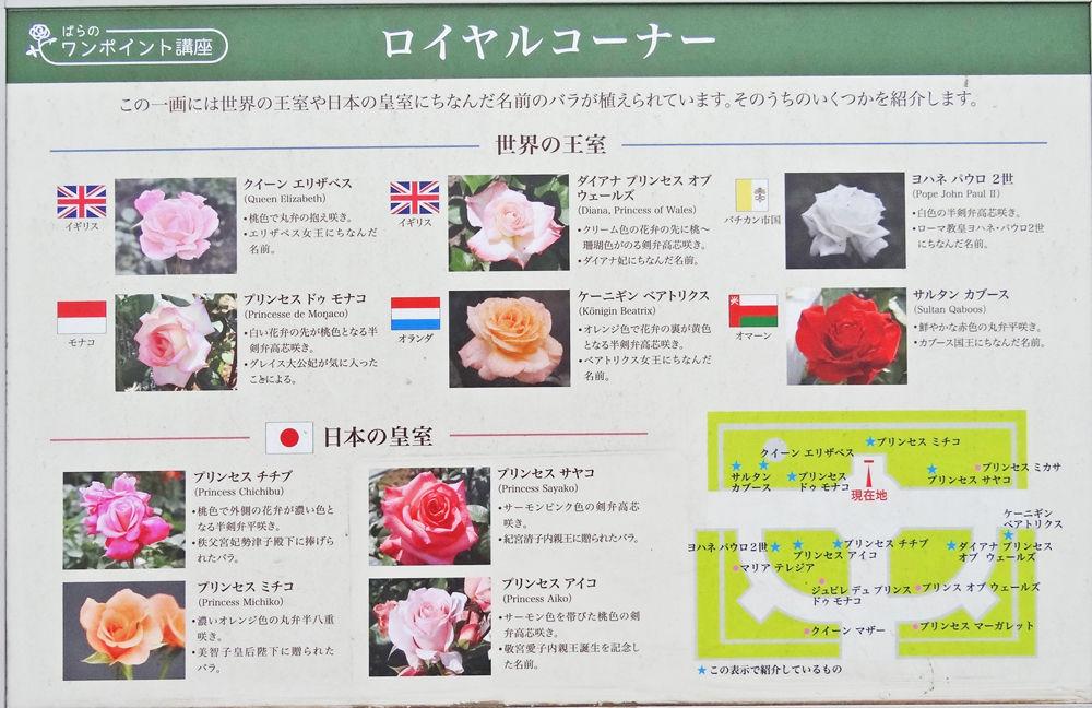 0ロイヤルコーナー1000