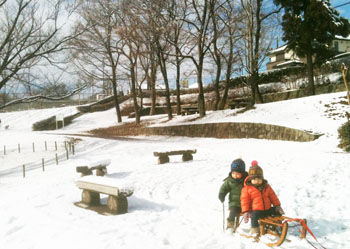 ���ꤹ�٤�240124_350