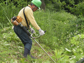 ����ʧ������