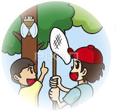 セミイラストのコピー