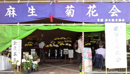 �Ʋ����_800