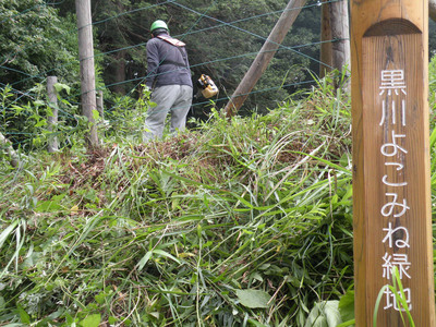 �褳�ߤ�������