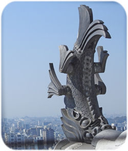 0������ۤ�250