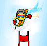 ski