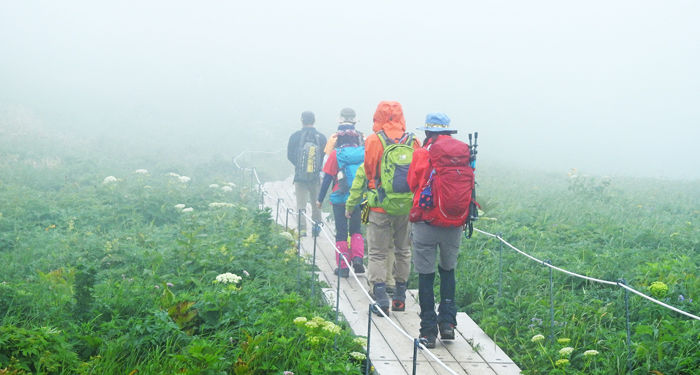 a桃岩歩行700