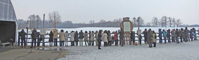 0伊藤サンクチュアリー鶴800